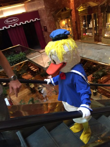 Donald duck escalotor