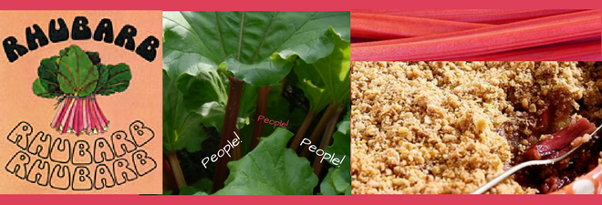 Why Rhubarb?