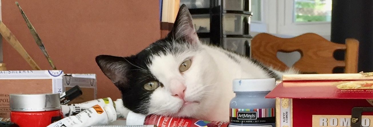 Something for International Cat Day