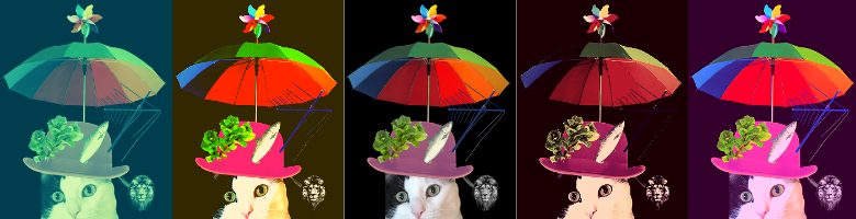 The Hat on the Cat