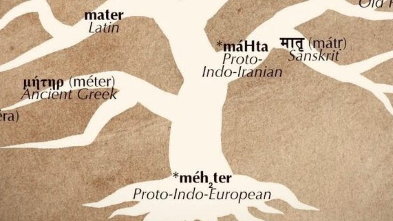 PDF) European Mother Tongue - Macedonian.pdf