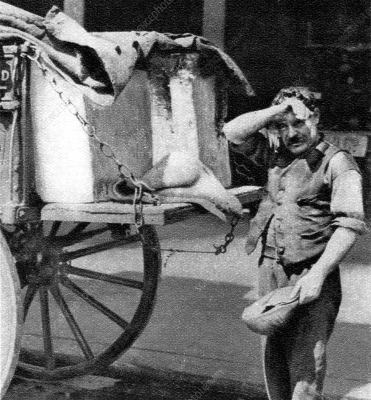 The Ice Cart