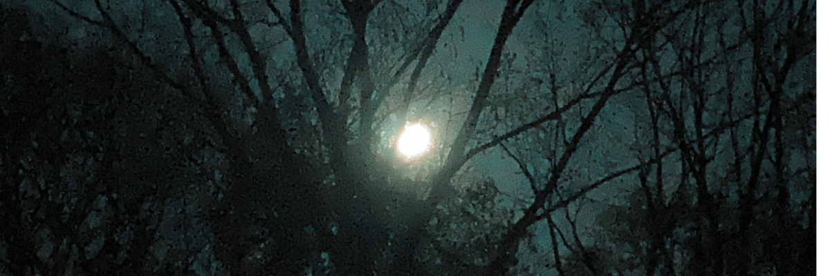 Night
